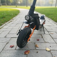 Scooter Eléctrico al por Mayor de 800W/1000W/1600W, 48V 13Ah-20Ah, Múltiples Opciones, Plegable, para Adultos, Todoterreno