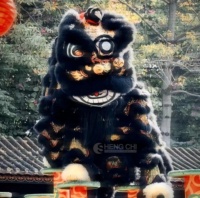 Costume de mascotte de lion noir imposant, fait main, en laine et polyester, taille unique, unisexe adulte, pour spectacle traditionnel