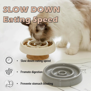 Comedero Lento para Gatos de Alta Calidad y Ecológico, Nuevo Diseño en Color Morandi, Protección para el Cuello, Comedero para Mascotas de Acero Inoxidable y PC - Product Image 3