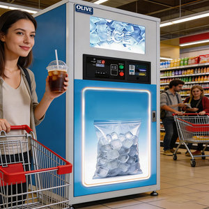 Distributeur automatique de glaçons et d'eau à capacité de 300 kg/jour, machine à glaçons extérieure avec paiement par pièces, billets et cartes, à vendre - Product Image 1