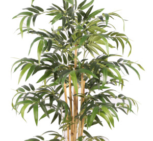 Conjunto <span class=keywords><strong>de</strong></span> jardín <span class=keywords><strong>de</strong></span> <span class=keywords><strong>decoración</strong></span> <span class=keywords><strong>de</strong></span> <span class=keywords><strong>interiores</strong></span>, plantas <span class=keywords><strong>de</strong></span> bambú <span class=keywords><strong>de</strong></span> seda, Amazonas <span class=keywords><strong>de</strong></span> alta calidad, árbol Artificial japonés en línea, planta <span class=keywords><strong>de</strong></span> bonsái simulada - Product Image 2