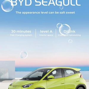 La BYD Seagull, berline 5 portes 4 places, véhicule électrique à énergie nouvelle, est vendue par le fabricant chinois Mini EV, autonomie de 405 <span class=keywords><strong>kilomètres</strong></span>. - Product Image 1