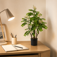 Arbre d'acacia artificiel de 80 cm en pot, en plastique, à plusieurs branches, vert vif, plante artificielle pour l'intérieur et l'extérieur, décoration de la maison et du jardin