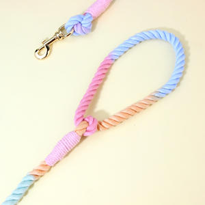 Nouvelle arrivée Gradient <span class=keywords><strong>Rampe</strong></span> Polyester Pet Dog Laisse Creative Outdoor Dog Traction Rope - Product Image 4