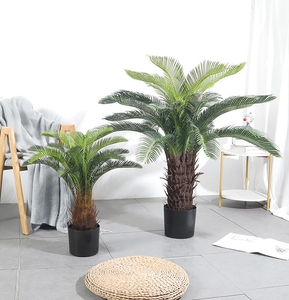 Trong nhà nhân tạo <span class=keywords><strong>cycad</strong></span> Cuộc Cách Mạng <span class=keywords><strong>Bonsai</strong></span> lễ hội cây nhựa cây <span class=keywords><strong>bonsai</strong></span> cho văn phòng ngoài trời bàn đám cưới cỏ gỗ Hoàng Dương hàng rào - Product Image 5