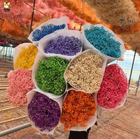 Bunga Gypsophila Awet 120g Grosir Pabrik Bunga Kering Alami Buket Babys Breath Bunga Gypsophila untuk Pernikahan