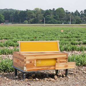 Nuovo legno resistente JubiNatural alveare Box pareti ispessite rivestimento resistente alle intemperie per apicoltura all'aperto commerciale allevamento di api - Product Image 1