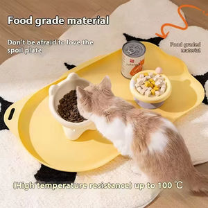 Alfombrilla Grande y Bonita para Comida de Perro, Ecológica, Impermeable, Antideslizante, con Diseño Sólido - Product Image 5