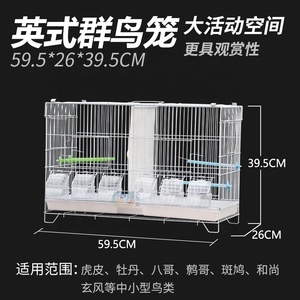 Deux cages à oiseaux spatiales peuvent être gardées séparément Cage à oiseaux multi-espace Cage à perroquets d'élevage en acier à fil robuste - Product Image 4
