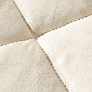 تاجر الجملة الصينية خليط ستوكات النسيج 100% النقي الطبيعي mulberry لحاف من الحرير - Product Image 5