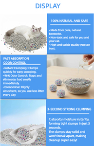 Arena para Gatos de Bentonita a Base de Sodio Premium, Aglutinación Extra Fuerte, Control de Olores, Arena para Gatos en Venta - Product Image 3