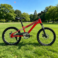Vélo pour enfants de 20 pouces avec panier et roues d'apprentissage pour les enfants de 6 ans, cycles de haute qualité
