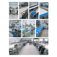 Machine à fabriquer des tourtes à la viande Hengyuan à haute efficacité, ligne de production automatique en acier inoxydable 304