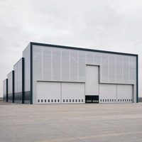Hangar d'avion en acier à structure escalonnée avec panneaux muraux translucides et porte centrale pour aile arrière, pour aérodrome