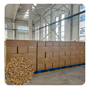 Gusanos de la Harina Secos Saludables, Larvas de Tenebrio Secas para Pollos, Alimento para Peces Silvestres - Product Image 3