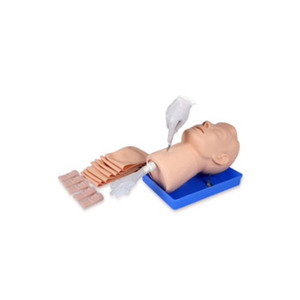 <span class=keywords><strong>Crico</strong></span>-Modèle de ponction thyroïdienne Produit scientifique médical - Product Image 1