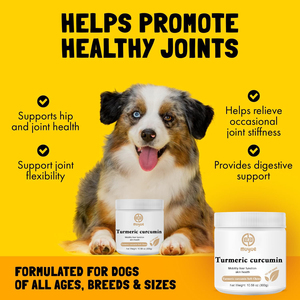 Suplemento Vitamínico Personalizado para Mascotas OEM, Natural, Antiinflamatorio, para el Cuidado de las Articulaciones, Refuerzo del Sistema Inmunitario, Antioxidante, de Rápida Absorción, con 2 Años de Duración - Product Image 3