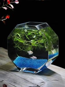Creatief verdikt high-definition glazen mini-<span class=keywords><strong>aquarium</strong></span> 2,5L desktop landschap ecologische fles hydrocultuur huisdecoratie patio - Product Image 5