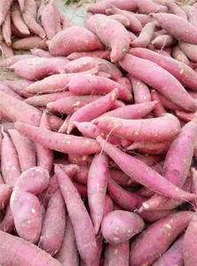 <span class=keywords><strong>Perejil</strong></span> de cebolla verde <span class=keywords><strong>apio</strong></span> Mini <span class=keywords><strong>ajo</strong></span> Harvester - Product Image 6