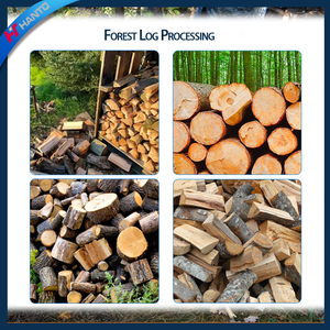 Partidor <span class=keywords><strong>de</strong></span> <span class=keywords><strong>Leña</strong></span> Automático Grande con Transportador |   Máquina Eficiente para Cortar y Partir <span class=keywords><strong>Leña</strong></span> - Product Image 6