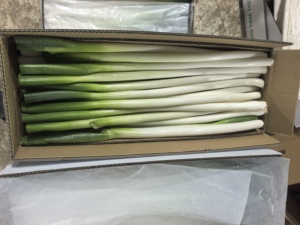 Cipollotti Verdi Cinesi Freschi e Pungenti, Ideali per Cucinare e Aromatizzare, Raccolto 2026, Vendita all'Ingrosso Diretta - Product Image 6