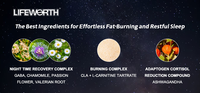 Complément alimentaire brûleur de graisse nocturne LIFEWORTH, capsule d'ashwagandha, 5-HTP, CLA, mélatonine, coupe-faim, soutien pour adultes, 60 capsules