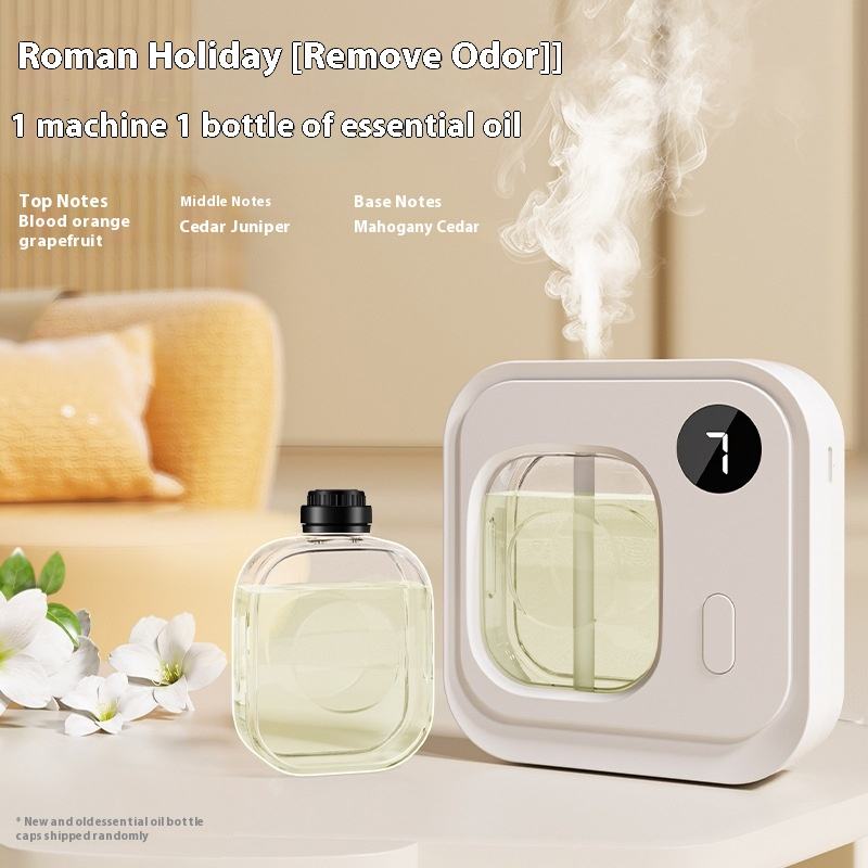 019 Aromatherapy Machine + Roman Holiday