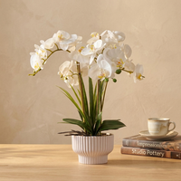 Tanaman Anggrek Phalaenopsis Buatan Realistis dalam Pot dengan Bahan Sutra+PU 50cm Dekorasi Mewah untuk Dalam Ruangan