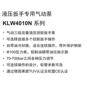 ปั๊มไฮดรอลิกไฟฟ้า Renne 4VN-2 อัตราการไหลสูง สำหรับประแจไฮดรอลิก - Product Image 3