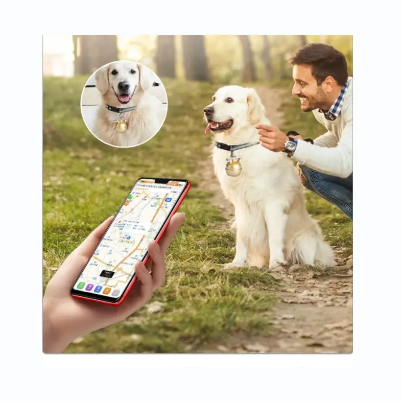 Kerah pintar pelacak GPS hewan peliharaan, lokasi waktu nyata (IOS dan Android) dengan kartu SIM kerah anjing