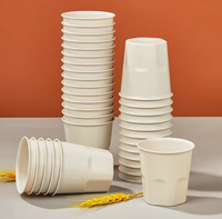 Gobelet jetable biodégradable en bambou blanc et en balle de riz, 125 ml, pour les fêtes, les restaurants, les hôtels