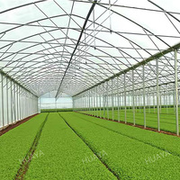 Connecteur fixe pour serre agricole, joint de tuyau de cadre galvanisé, composant métallique de précision résistant à la corrosion