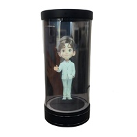 Hologrammes interactifs numériques Ai Holo, boîtes lumineuses publicitaires Android de 6 pouces, technologie innovante pour l'équipement