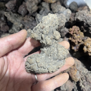 Venta al por mayor a granel de dinosaurio fósil natural, <span class=keywords><strong>coprolito</strong></span>, piedra de cristal fósil para colección de regalos - Product Image 2
