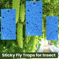 Pièges à mouches jetables en gel jaune, pièges collants pour insectes avec une capacité de 250-750 ml pour les fourmis, les moustiques, les pucerons, lutte antiparasitaire des plantes en extérieur