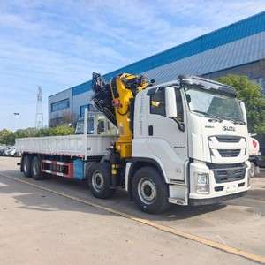 Grúa hidráulica articulada ISUZU GIGA de 25 toneladas 8x4 de fábrica china en venta - Product Image 4