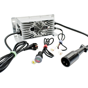 Cargadores IP67 24V 60V 30a 40a 50a para baterías <span class=keywords><strong>LiFePO4</strong></span> y <span class=keywords><strong>cargador</strong></span> de batería de plomo ácido 48V <span class=keywords><strong>cargador</strong></span> de batería 12V <span class=keywords><strong>LiFePO4</strong></span> - Product Image 5