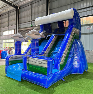 Chất lượng tốt trượt <span class=keywords><strong>Inflatable</strong></span> các nhà sản xuất không thấm nước và chống cháy trượt gonflable cho hồ bơi - Product Image 1
