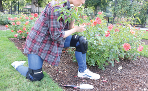 <span class=keywords><strong>Rodilleras</strong></span> <span class=keywords><strong>de</strong></span> protección laboral <span class=keywords><strong>de</strong></span> tela <span class=keywords><strong>de</strong></span> <span class=keywords><strong>silicona</strong></span> flexible, <span class=keywords><strong>rodilleras</strong></span> <span class=keywords><strong>de</strong></span> carcasa dura <span class=keywords><strong>para</strong></span> arrodillarse, baldosas <span class=keywords><strong>para</strong></span> reparación <span class=keywords><strong>de</strong></span> automóviles, <span class=keywords><strong>rodilleras</strong></span> <span class=keywords><strong>de</strong></span> construcción <span class=keywords><strong>de</strong></span> jardín - Product Image 6