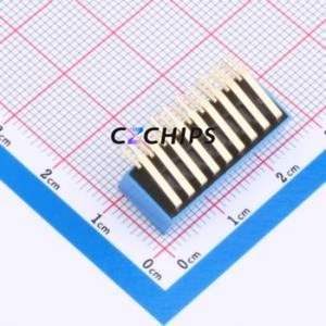 DT-09LT DIP Switch Through hole Component (THT),P=2.54mm Switch Flat Toggle, Raised Type Single Pole Single Throw 9-Bit 2.54mm - Product Image 2