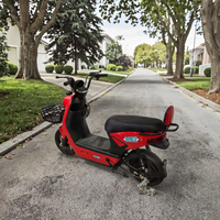 Fabricant chinois en gros, vélo électrique urbain à 2 places avec moteur sans balais 350W, batterie au plomb-acide 48V, grand panier, acier sécurisé à l'arrière
