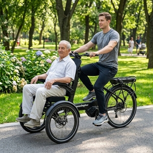 Triciclo Eléctrico de Carrocería Abierta, 25KM/H, Marco de Aleación, 48v 15ah 250w, Motor de Tracción Media, Uso para Pasajeros, 9 Velocidades - Product Image 1