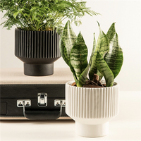 Pot de fleur en céramique de Style nordique haut de gamme taille horticole spéciale orchidée papillon succulente Design moderne en gros disponible