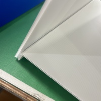 Les panneaux publicitaires en plastique Triangle Coroplast ont imprimé PP en carton ondulé pour les fournitures de fête promotionnelles