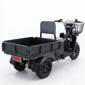 Moto hybride 3 roues à forte capacité de chargement pour la ville, 1000W, moto tout-terrain 3 roues, vente chaude en Inde - Product Image 4