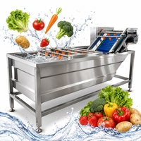 Industriële groentewasmachine van hoge kwaliteit, fruitwasmachine SUS 304, automatisch voor bladgroenten, champignons en zeevruchten