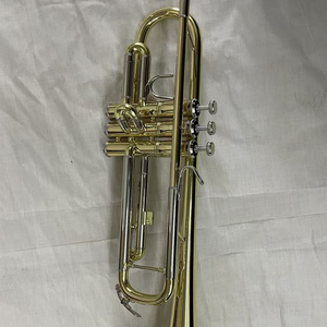 <span class=keywords><strong>Trompeta</strong></span> de Latón Amarillo <span class=keywords><strong>con</strong></span> Afinación BB, Diseño Famoso, Tamaño Bell 123cm, para una Interpretación Fácil - Product Image 5