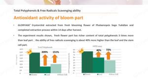Indermalab เซรั่มบำรุงผิวหน้าเครื่องสำอาง, เซรั่มคริสตัลสปอตไลท์ - Product Image 5