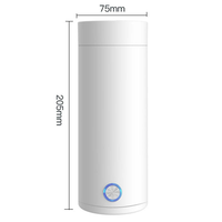 Nuevo Modelo de Hervidor Eléctrico Portátil, Botella de Agua de Viaje con Función para Mantener el Agua Caliente, para Uso en Hoteles, Hervidor de Agua para Exteriores