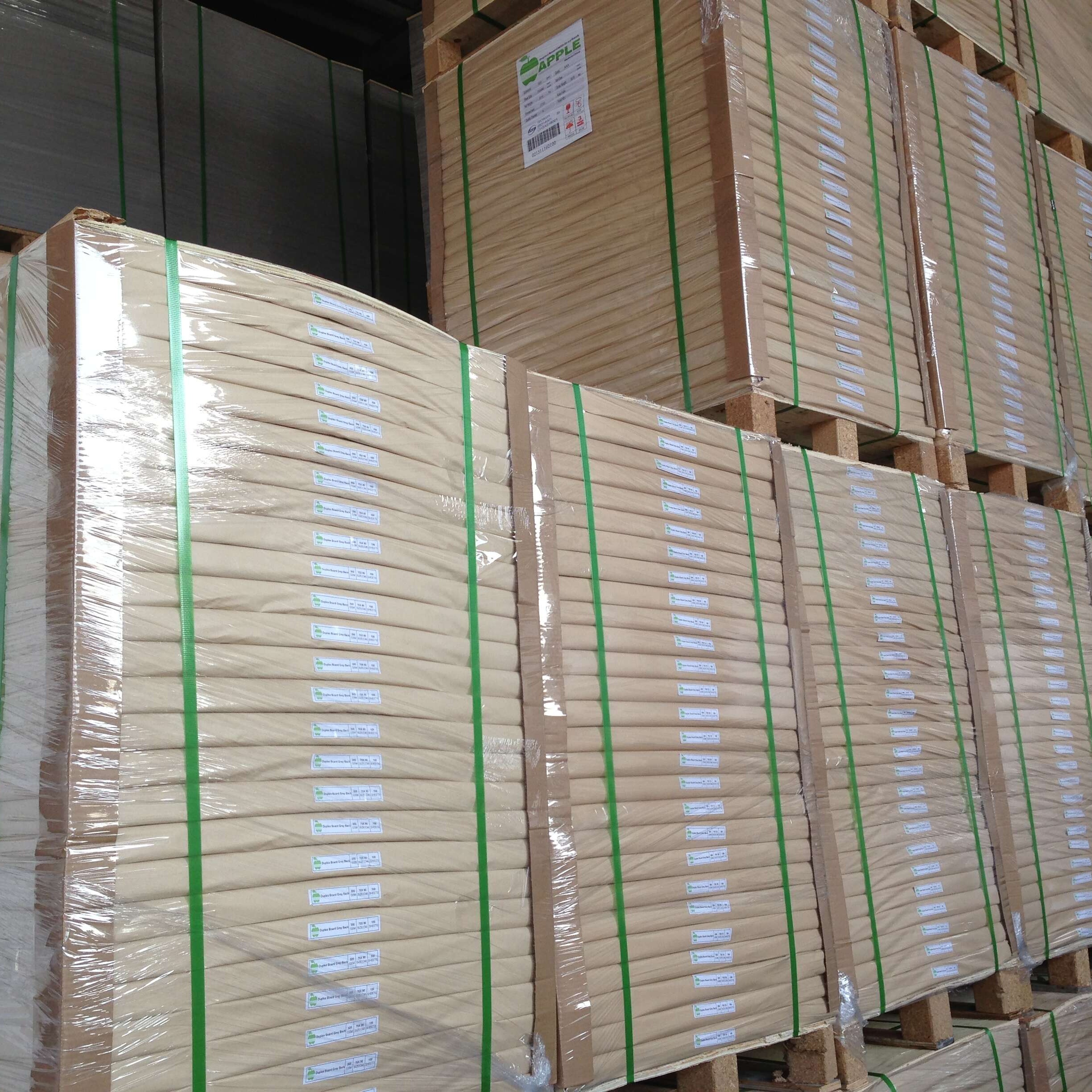 White Cardboard Paper/FBB /Ivory Card Board Paper in Sheet /Roll
